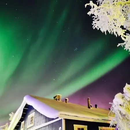 Saariselaen Marjamajat * Saariselkä