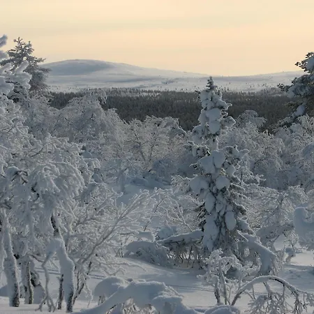Saariselaen Marjamajat *