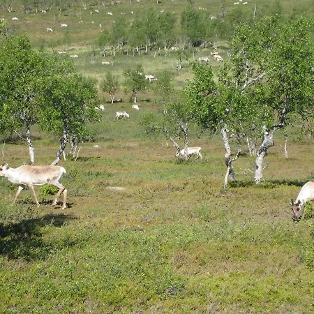 Saariselaen Marjamajat Ferienhaus Saariselkä