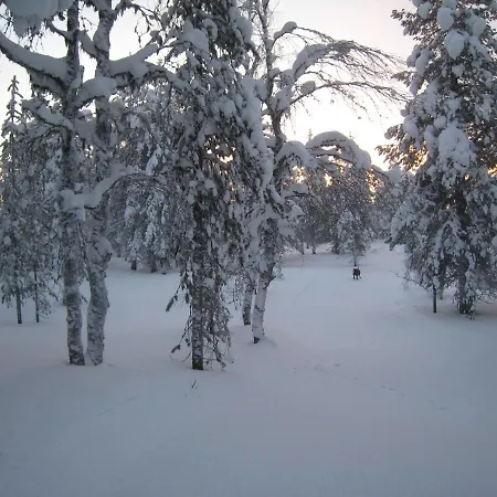 Saariselaen Marjamajat ساريسيلكا