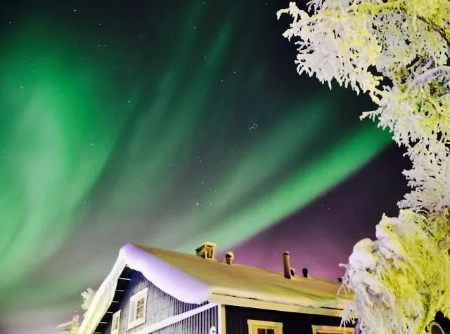 Saariselaen Marjamajat * 사리셀카