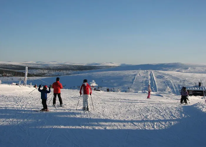 Saariselaen Marjamajat 펜션