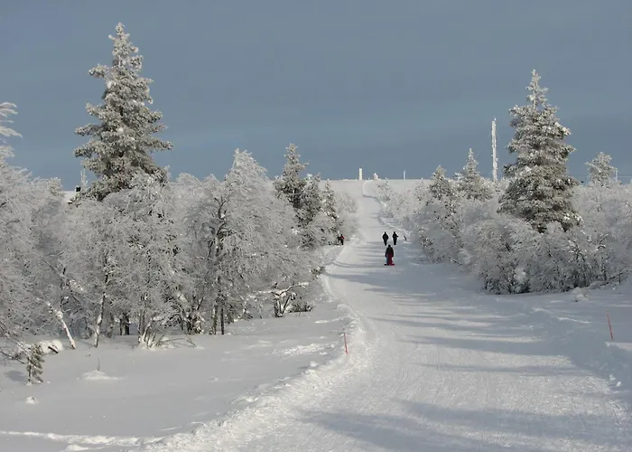 Saariselaen Marjamajat * 사리셀카