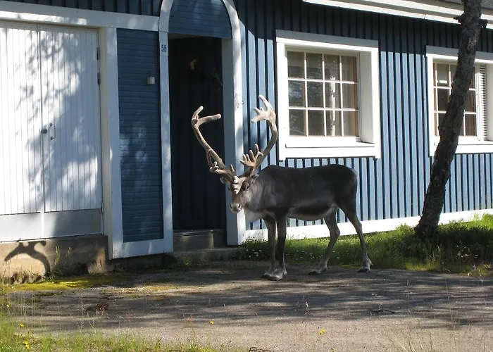 펜션 Saariselaen Marjamajat 사리셀카