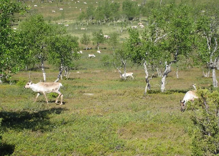 Saariselaen Marjamajat 펜션 사리셀카