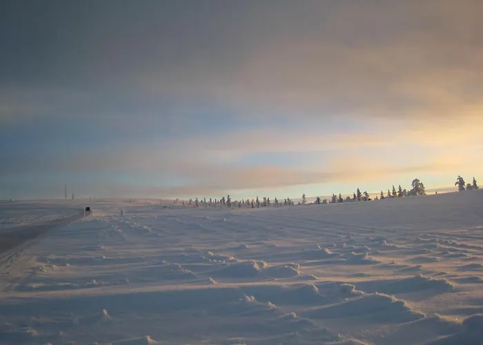 Saariselaen Marjamajat 펜션