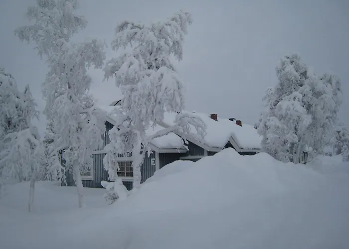 Saariselaen Marjamajat 펜션 *