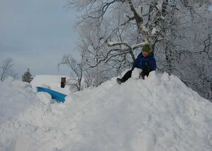 펜션 Saariselaen Marjamajat *