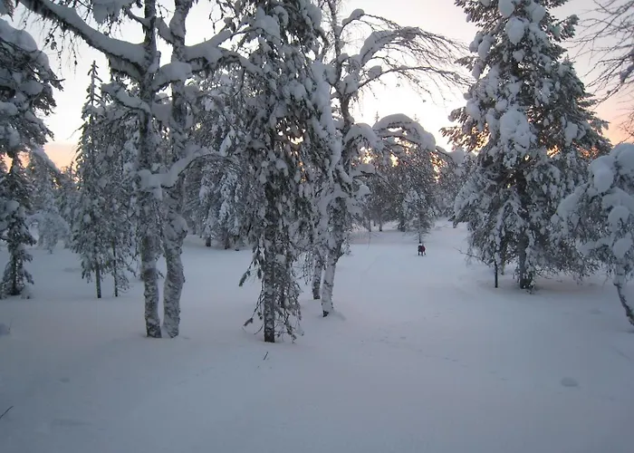 Saariselaen Marjamajat 사리셀카